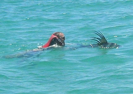 Rancho Leonoero Kayak Fishing Photo 3