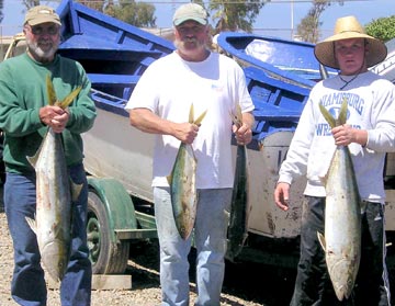 Ensenada yellowtail photo 3