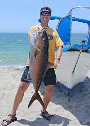 Amberjack fish picture 7