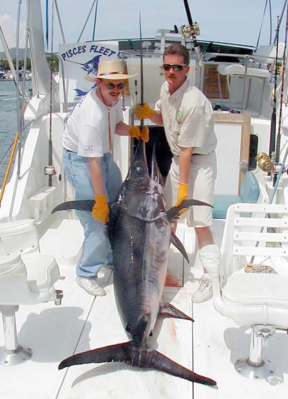 Broadbill Swordfish Photo 1