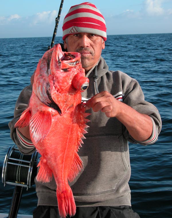  Blackgill Rockfish Photo 1