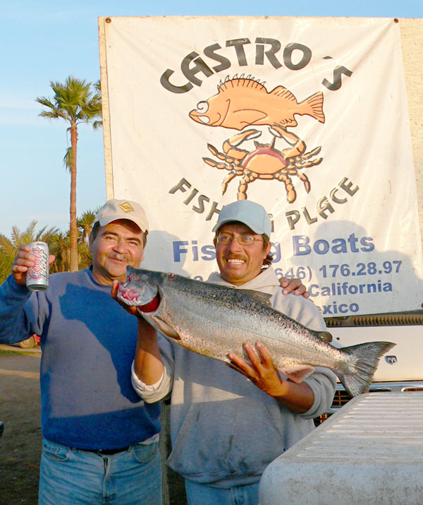 Chinook Salmon fish picture 1