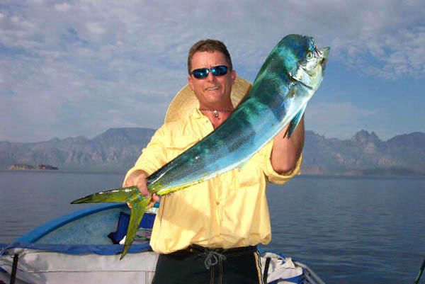 Dorado or Mahi-Mahi fish picture 3