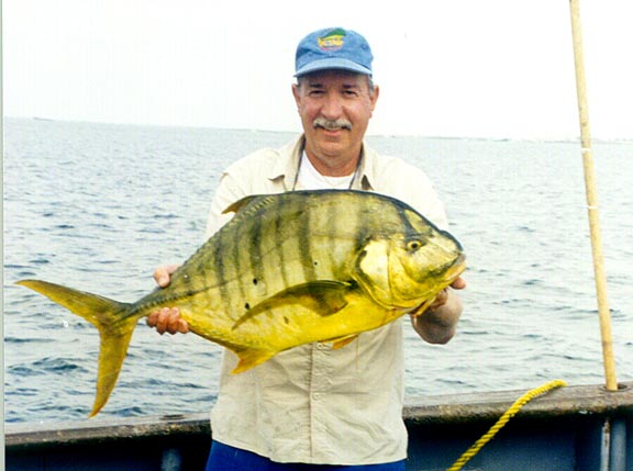 Golden Jack fish picture 2