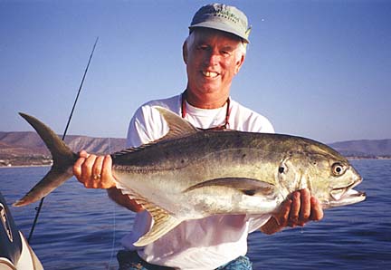 fish jack crevalle pacific identification caninus caranx caught courtesy nice another mexfish