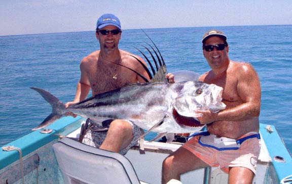 Roosterfish fish picture