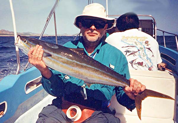 Rainbow Runner picture 4