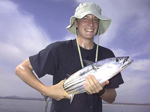 Skipjack Tuna Photo 4