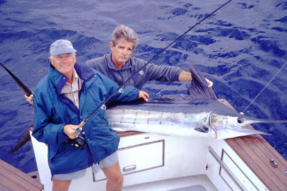 Striped Marlin picture 3