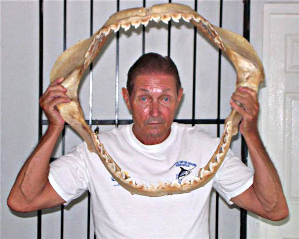  Tiger Shark Jaws Photo 1