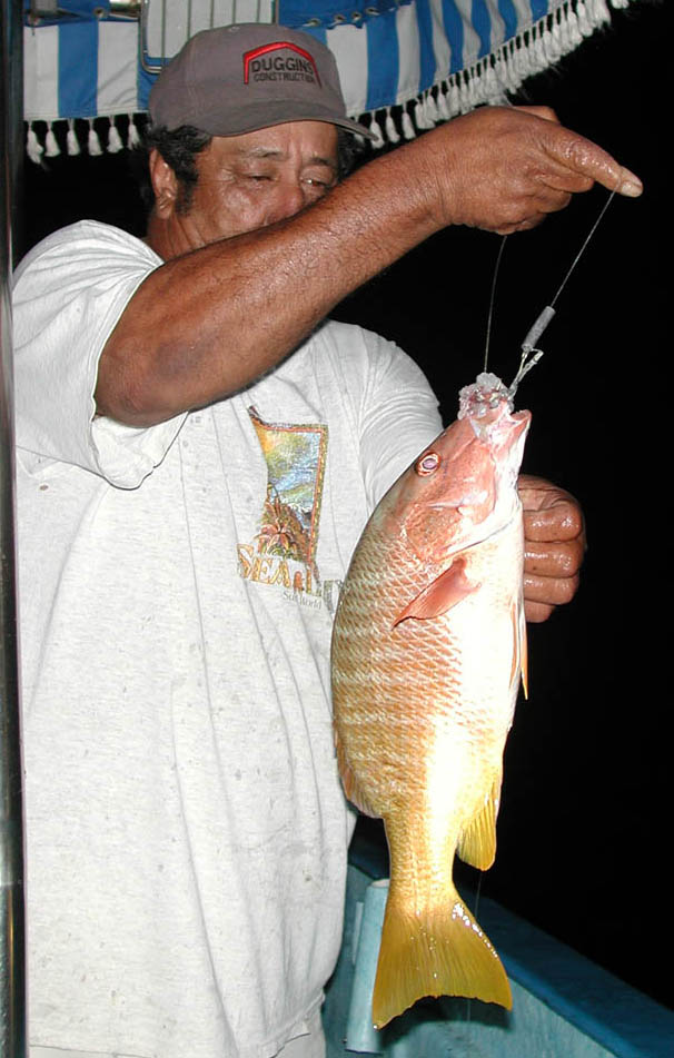 Yellow Snapper Photo 3