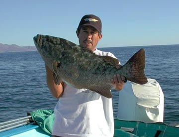 Mexico Fishing Photo