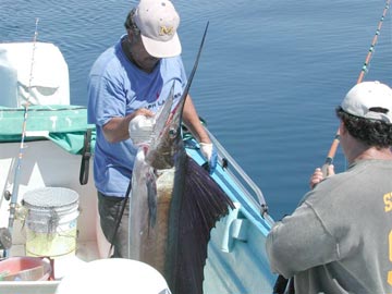 Mexico Fishing Photo