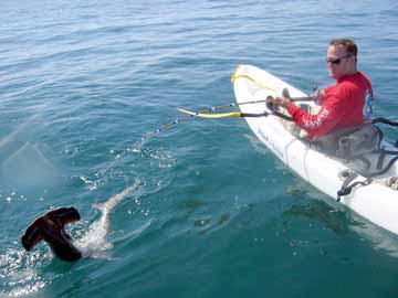 Mexico Fishing Photo