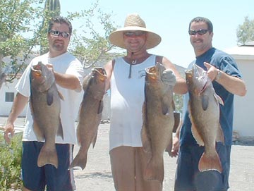 Mexico Fishing Photo