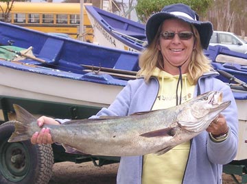 Mexico Fishing Photo