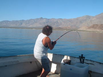 Mexico Fishing Photo