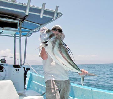 Skipjack or Ladyfish - For Anglers Digital Angling Network