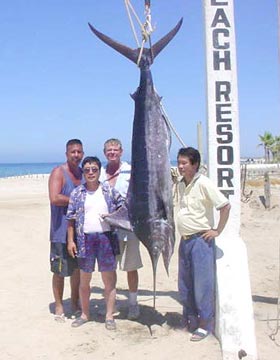 Mexico Fishing Photo