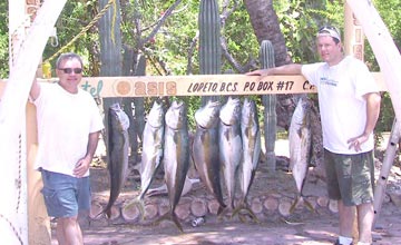 Mexico Fishing Photo