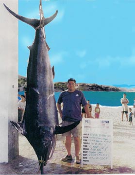 Mexico Fishing Photo