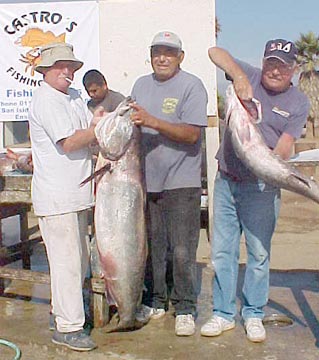 Mexico Fishing Photo