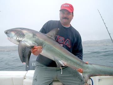 Mexico Fishing Photo