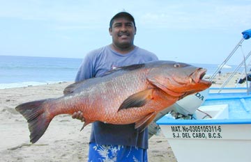 Mexico Fishing Photo