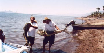 Mexico Fishing Photo