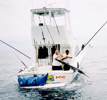 Mexico Fishing Photo