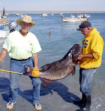 Mexico Sportfishing Photo 6