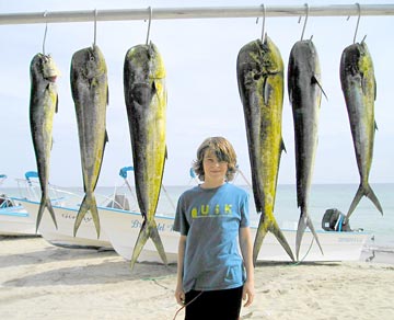 Mexico Sportfishing Photo 3