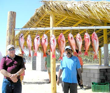 Mexico Sportfishing Photo 1