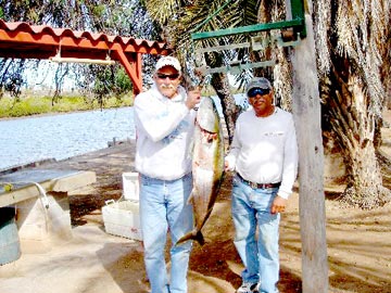 Mulege, Mexico Sportfishing Photo 1