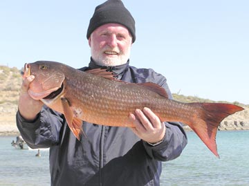 La Paz Sportfishing Photo 1