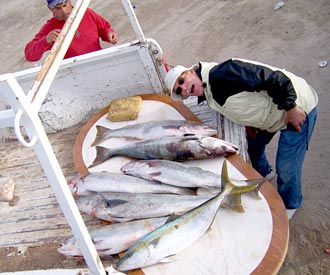 Rocky Point Sportfishing Photo 1