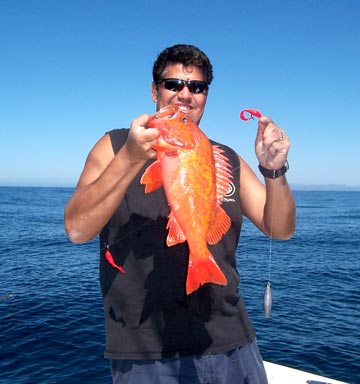 Ensenada Sportfishing Photo 1