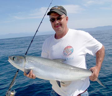 Puerto Vallarta Sportfishing Photo 2