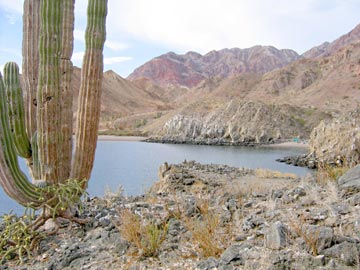 Bahia de los Angeles Photo 1