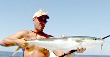 Huatulco Sportfishing Photo 1