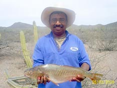 Mexico Sportfishing Photo 1