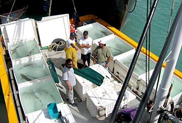 San Felipe Fishing Photo 1