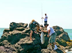 Magdalena Bay Mexico Fishing Photo 3