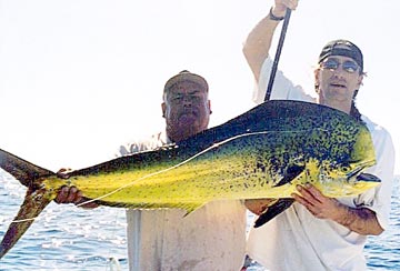 La Paz Mexico Fishing Photo 1