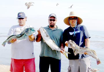 Erendira Castro's Camp Mexico Fishing Photo 1