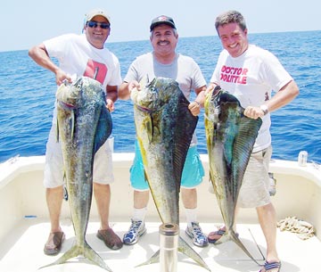 Puerto Vallarta Mexico Fishing Photo 1