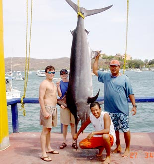 Ixtapa Zihuatanejo Mexico Fishing Photo 1