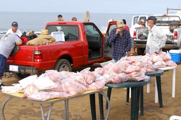 Castro's Camp Mexico Fishing Photo 1