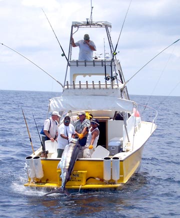 Puerto Vallarta Mexico Fishing Photo 2