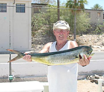 Rocky Point Mexico Fishing Photo 1